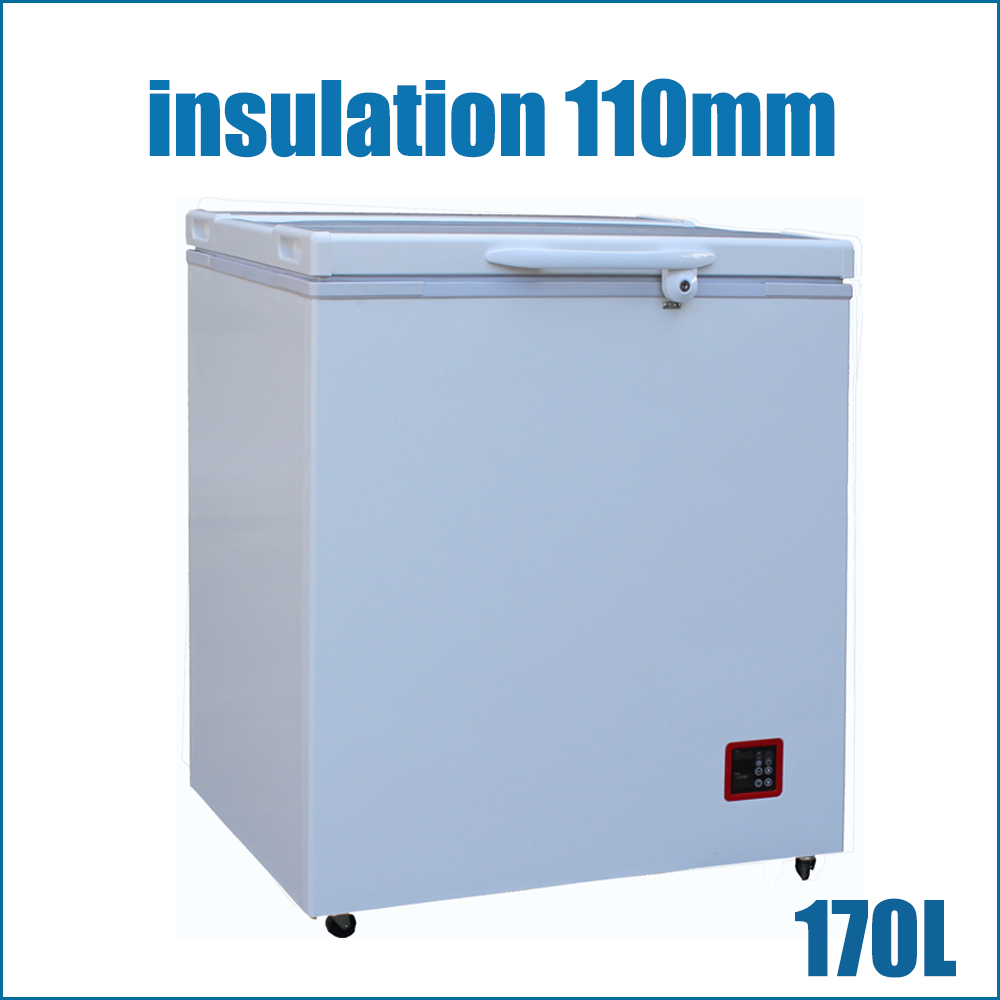 Ultra Energy Efficient Solar (Battery) Powered Freezer(BR170F)